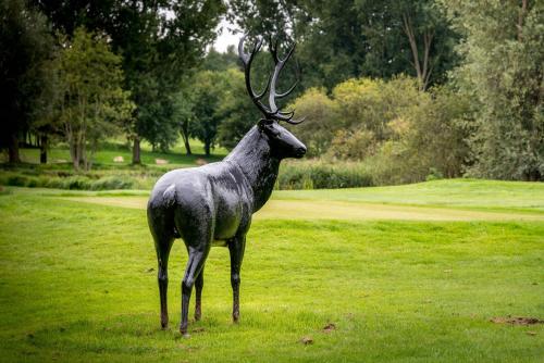 le pavillon du golf darras