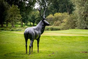 le pavillon du golf darras