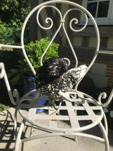 manoir des lions de tourgeville