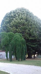au cocon de sologne
