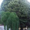 au cocon de sologne