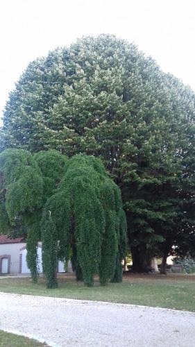 Au Cocon De Sologne,Loir-Et-Cher>>Contres,3 star