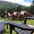 campan