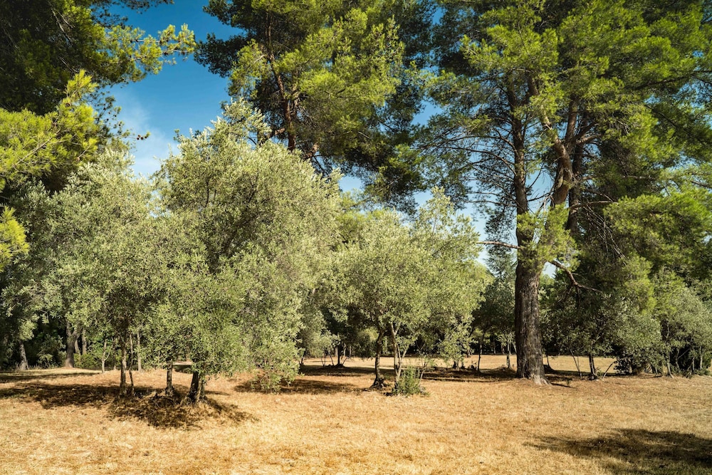 aix en provence