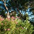 aix en provence