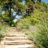 domaine de saint clair adults only