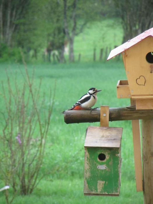 le relais des deux tours