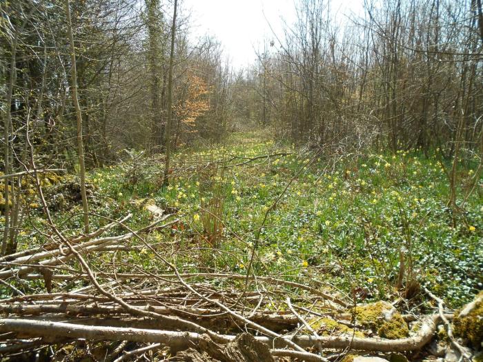 le relais des deux tours