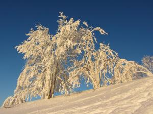 le relais des deux tours