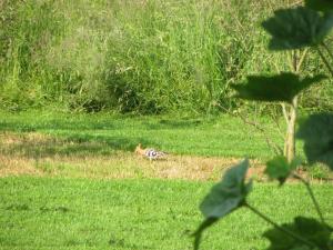 le relais des deux tours