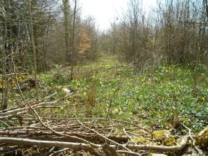 le relais des deux tours
