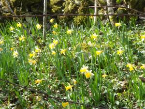 le relais des deux tours
