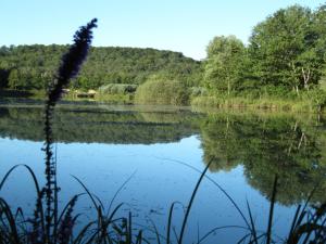 le relais des deux tours