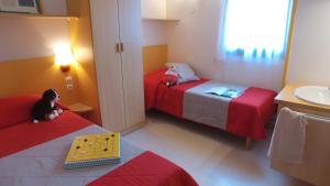 vvf le pays cathare carcassonne saissac
