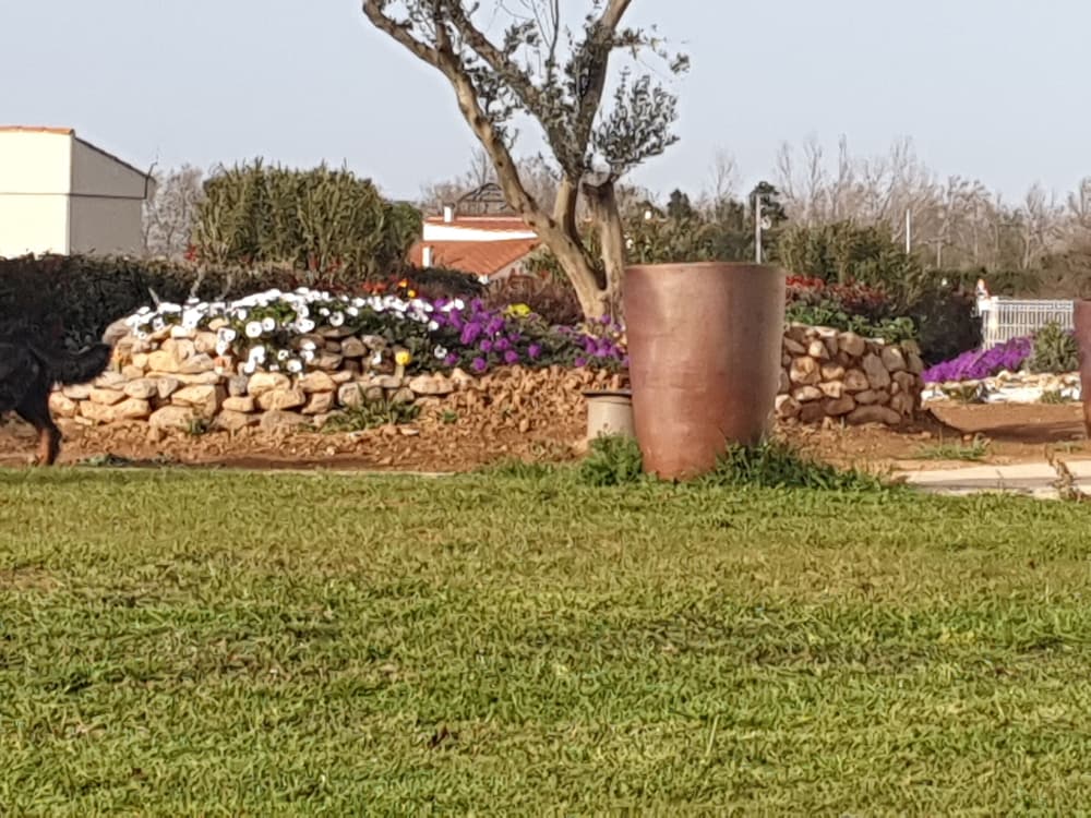 hotel restaurant lespassole