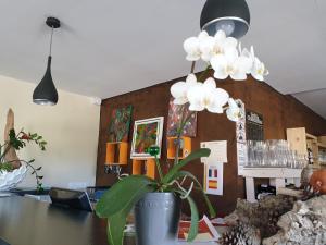 hotel restaurant lespassole