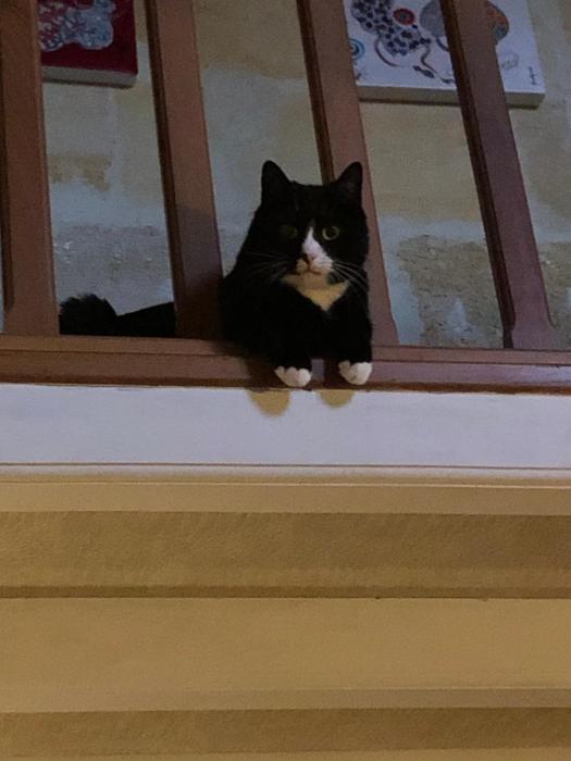 chambres dhotes numero 15