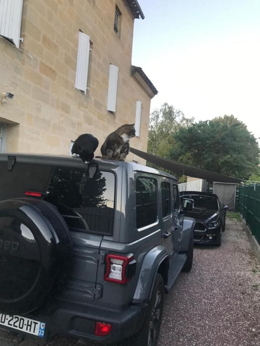 chambres dhotes numero 15