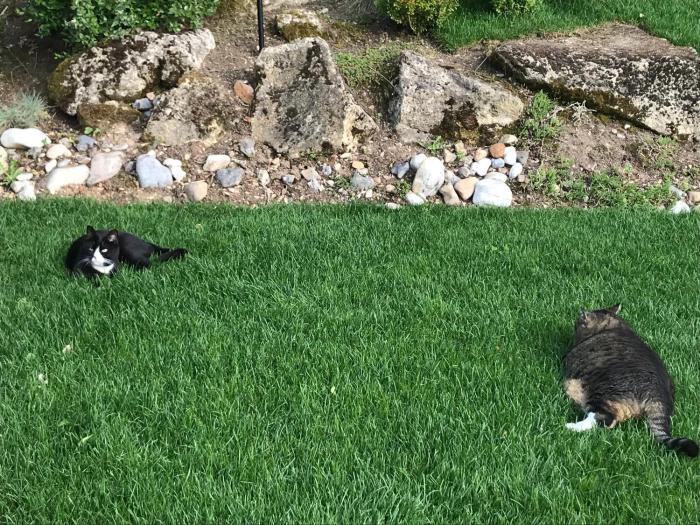 chambres dhotes numero 15