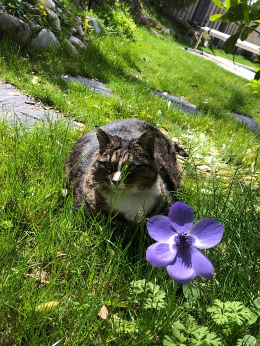 saint seurin sur lisle