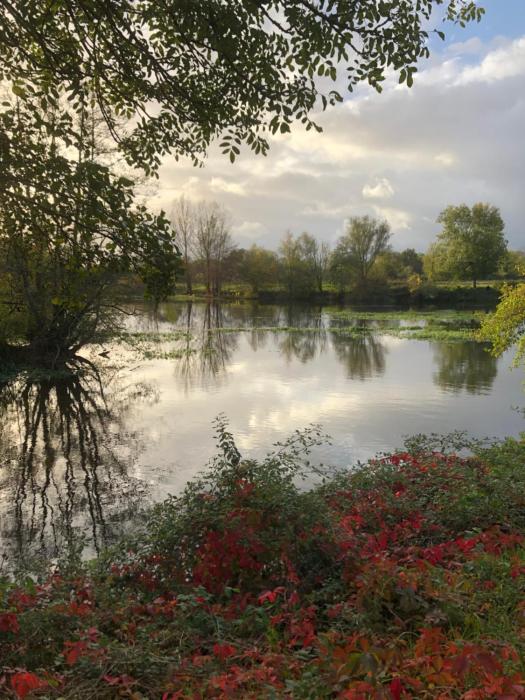 chambres dhotes numero 15