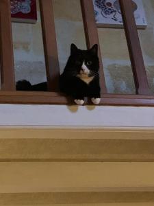 chambres dhotes numero 15