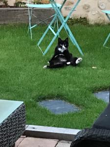 chambres dhotes numero 15