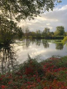 chambres dhotes numero 15