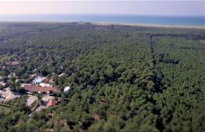 green resort