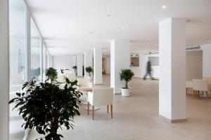 hotel ilusion calma and spa