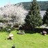 hotel restaurant du plomb du cantal