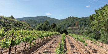 hotel restaurant des maures