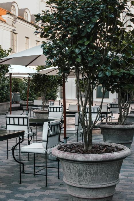 hotel pacai a member of design hotels