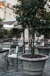 hotel pacai a member of design hotels