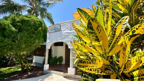 hostal suenos silvestres