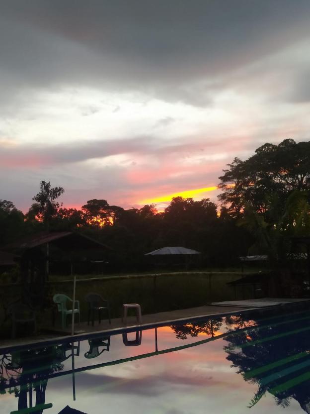 grand selva lodge and tours