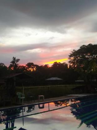 grand selva lodge and tours