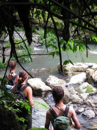 grand selva lodge and tours