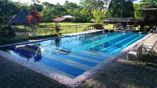 grand selva lodge and tours