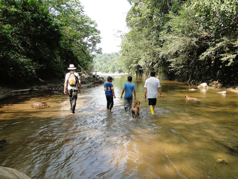 grand selva lodge and tours