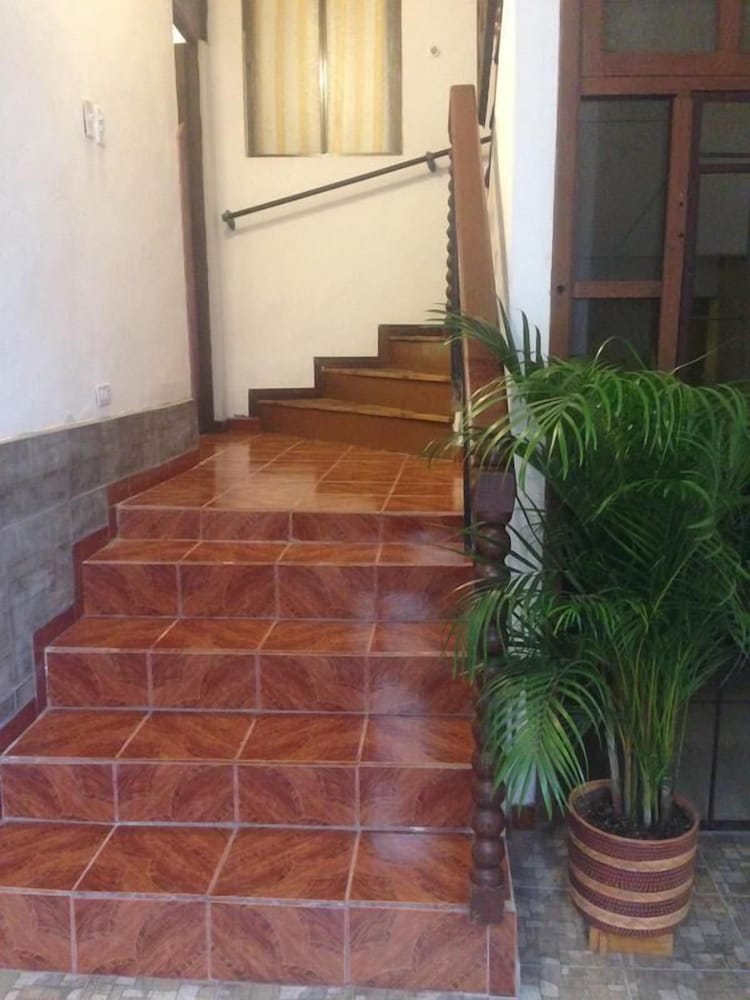 guesthouse nelson