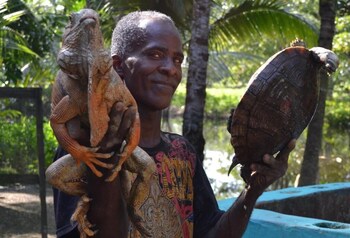 el cabarete spa and resort