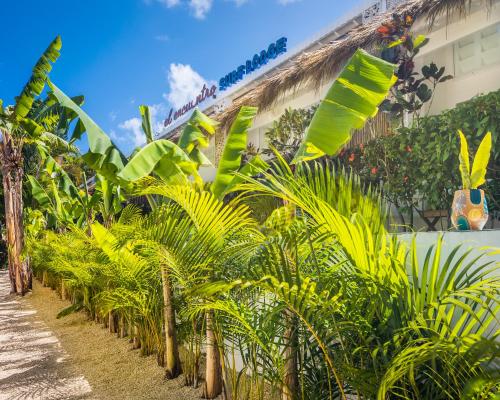 El Encuentro Surf Lodge,Encuentro 57000,3 star