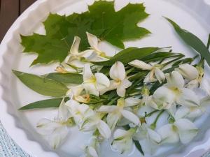 ferdinandhof apart hotel