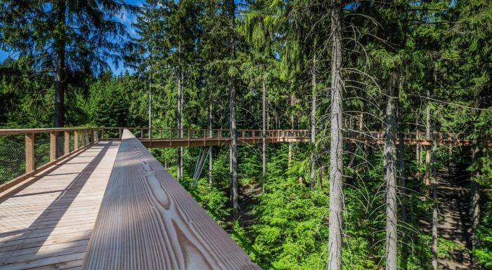 ski hotel svoboda nad upou