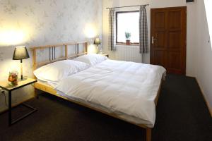 ski hotel svoboda nad upou