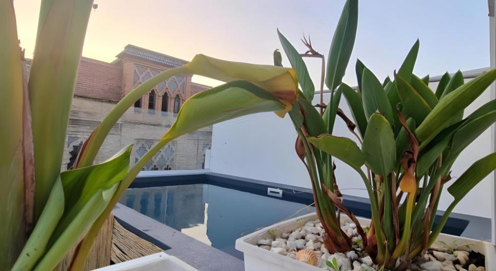 hotel boutique dona lola