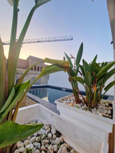 hotel boutique dona lola
