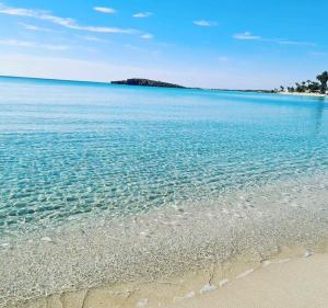 so white club resort