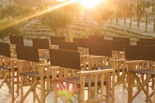 aelia wellness retreat